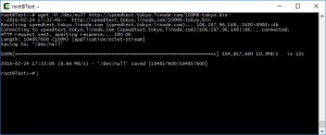 Speedtest linhost.info (Giappone)